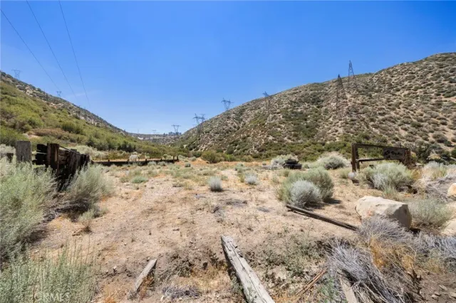 a view of a forest with a forest