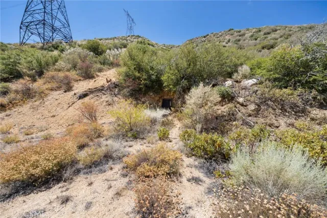 a view of a bunch of trees