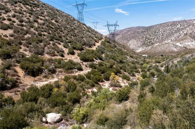 a view of a dry yard with green space