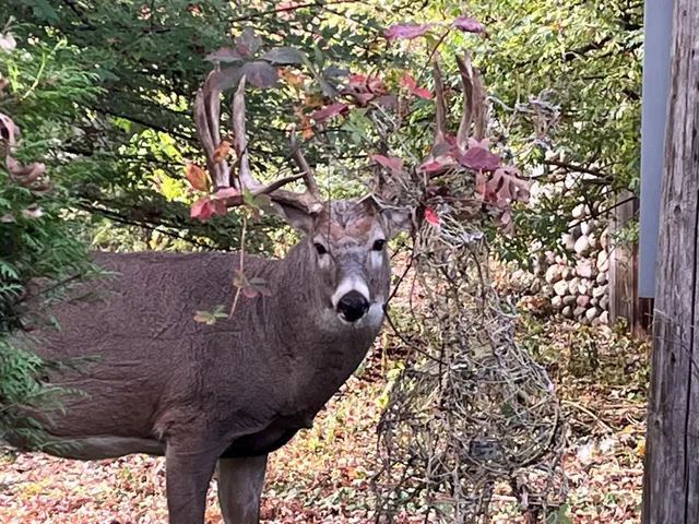 $649,000 | 5338 Highland Road, Minnetonka, MN 55345