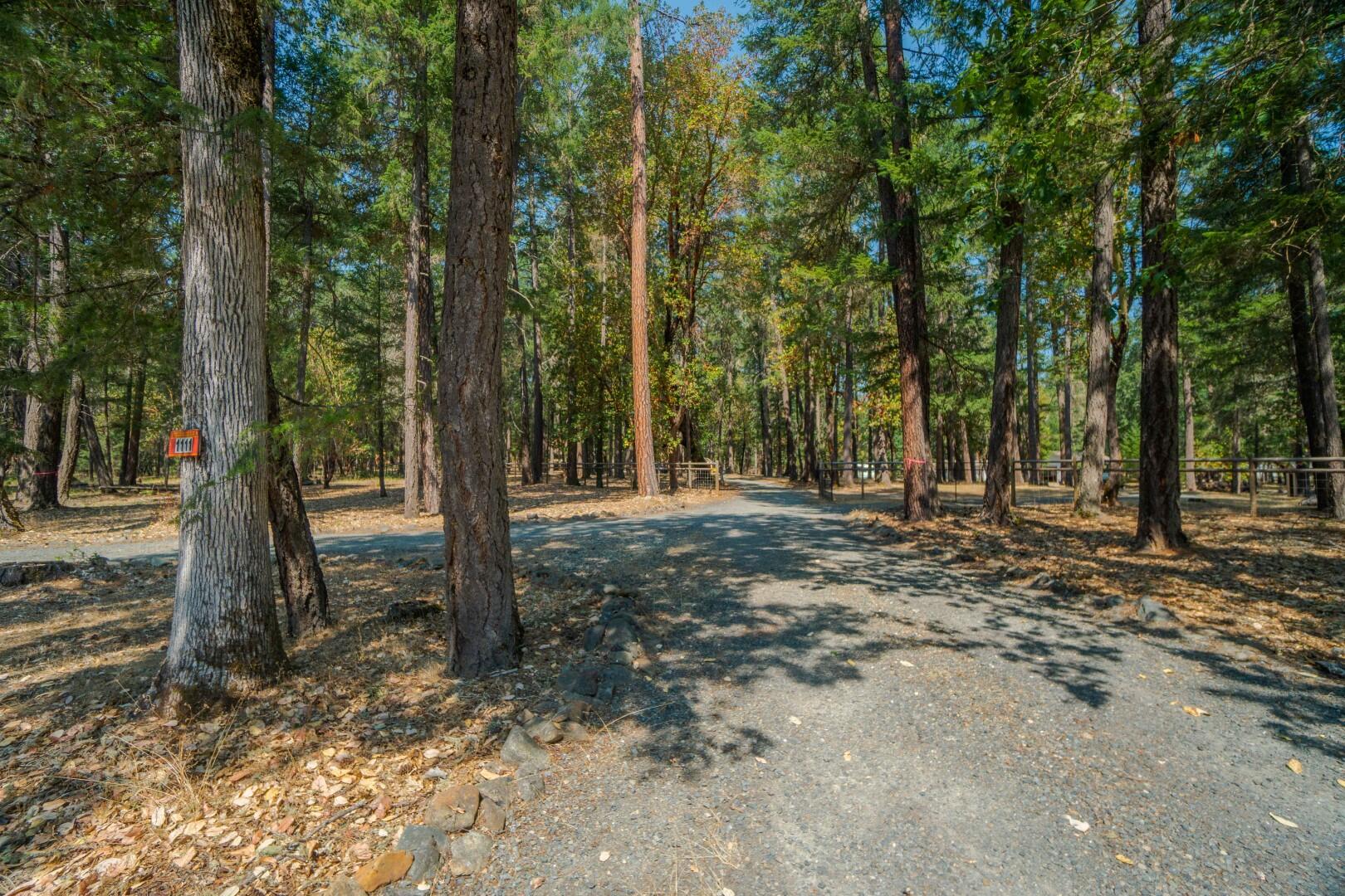1111 Powell Creek Road Williams, OR 97544 - Photo 67 of 85 DSC01017