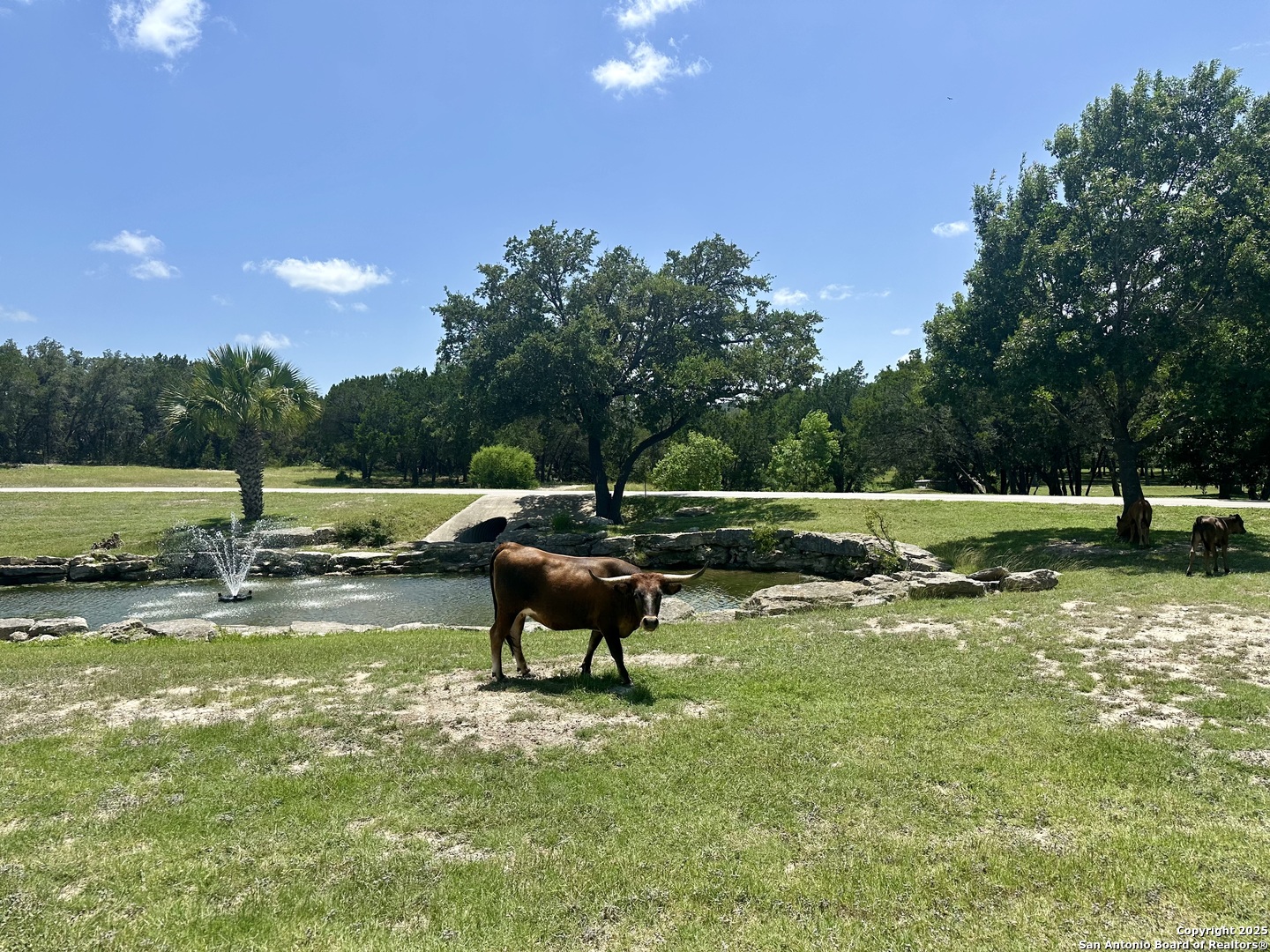 3 Thunder Verde Boerne, TX 78006 - Photo 8 of 11 a garden view with a sitting space