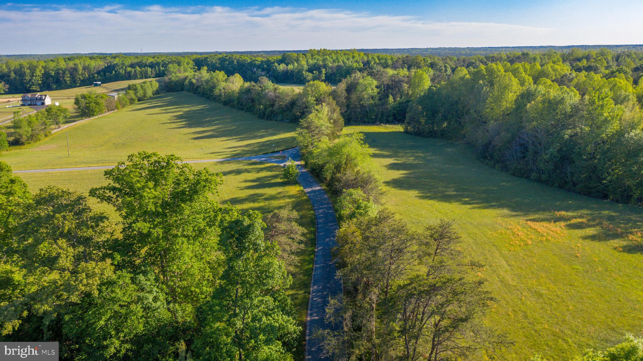 0 Trivette Road Beaverdam, VA 23015 - Photo 12 of 45