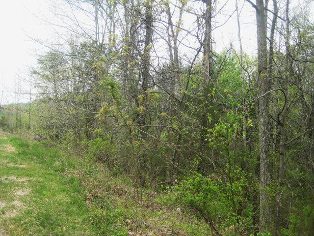 35 Stump Road Irvine, KY 40336 - Photo 16 of 46 Photo 16