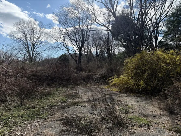 a view of outdoor space and trees