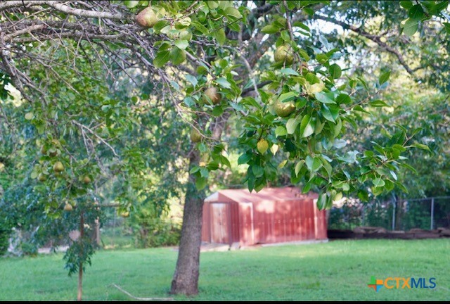 141 Jackson Street Elgin, TX 78621 - Photo 5 of 28 a view of a yard