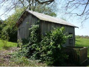 3741 Old State Rte 34 Limestone, TN 37681 - Photo 4 of 14 Photo 4