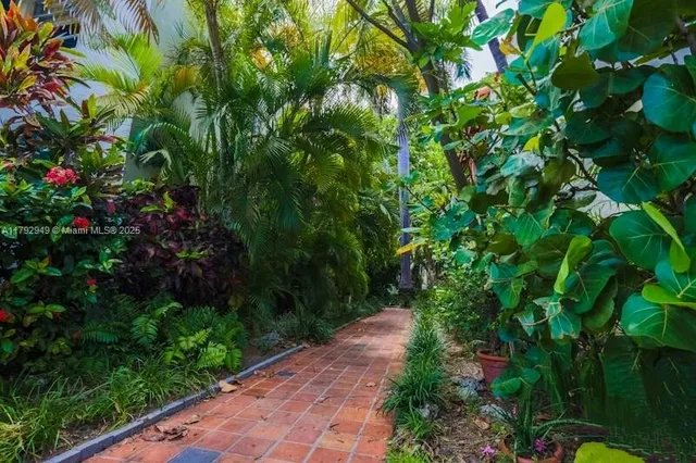a view of a garden with plants and flowers