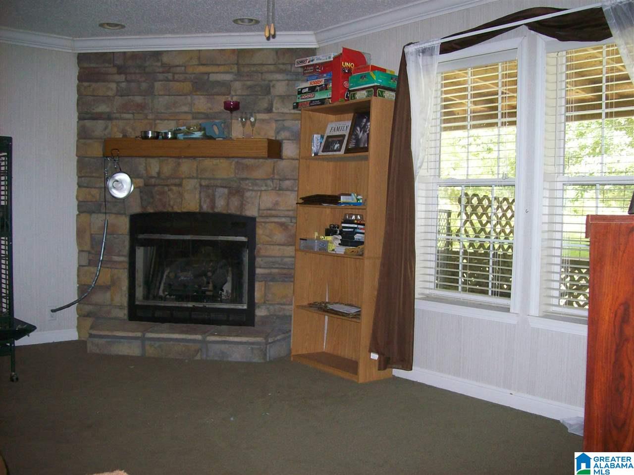 7378 State Lake Road Delta, AL 36258 - Photo 5 of 38