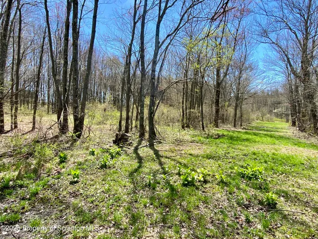a view of outdoor space with a garden