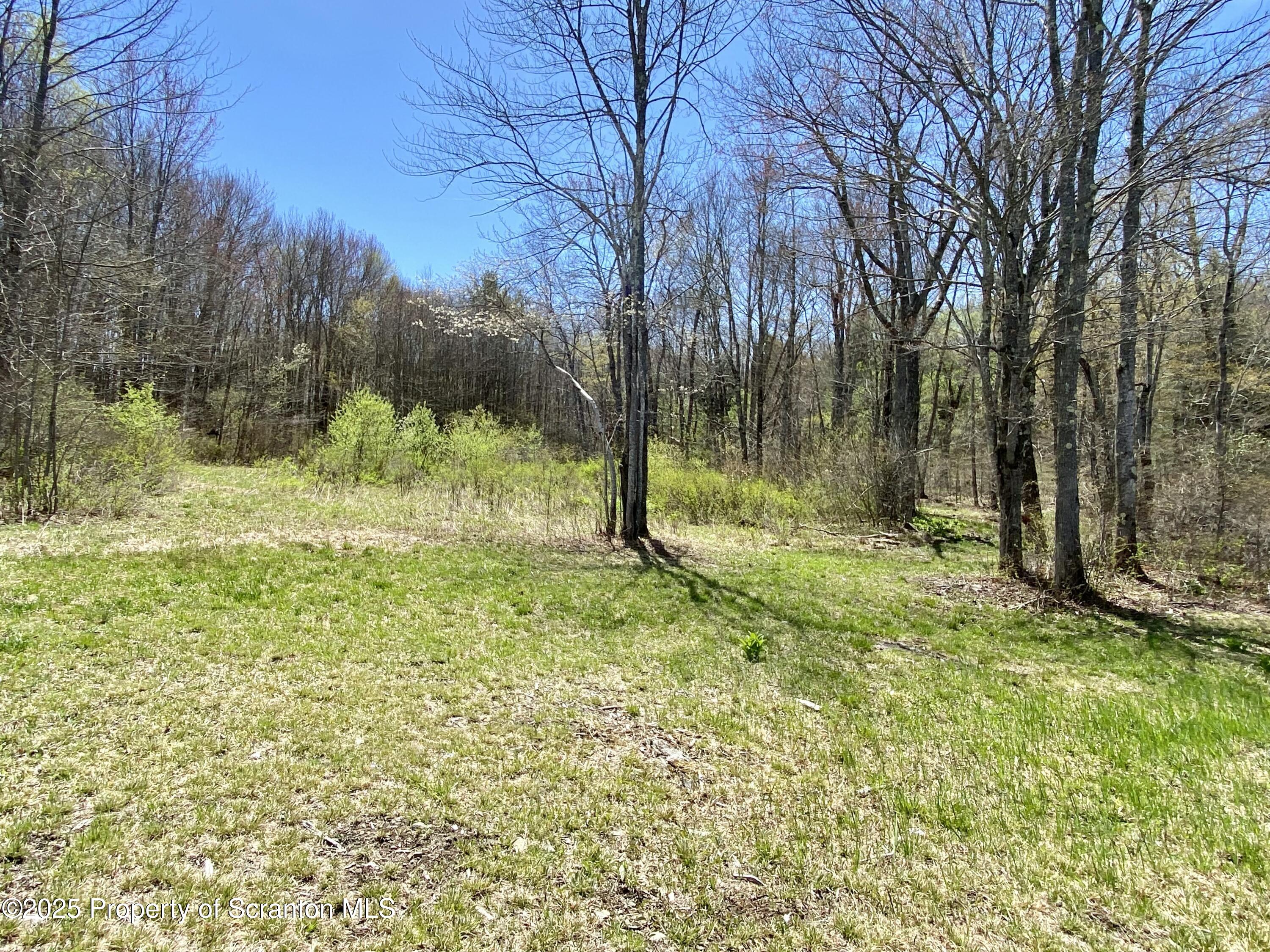 Lot 1 May Road Thompson, PA 18465 - Photo 9 of 11 a view of outdoor space with a garden