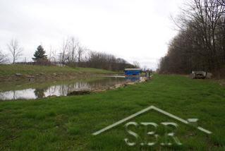20036058-4.JPG