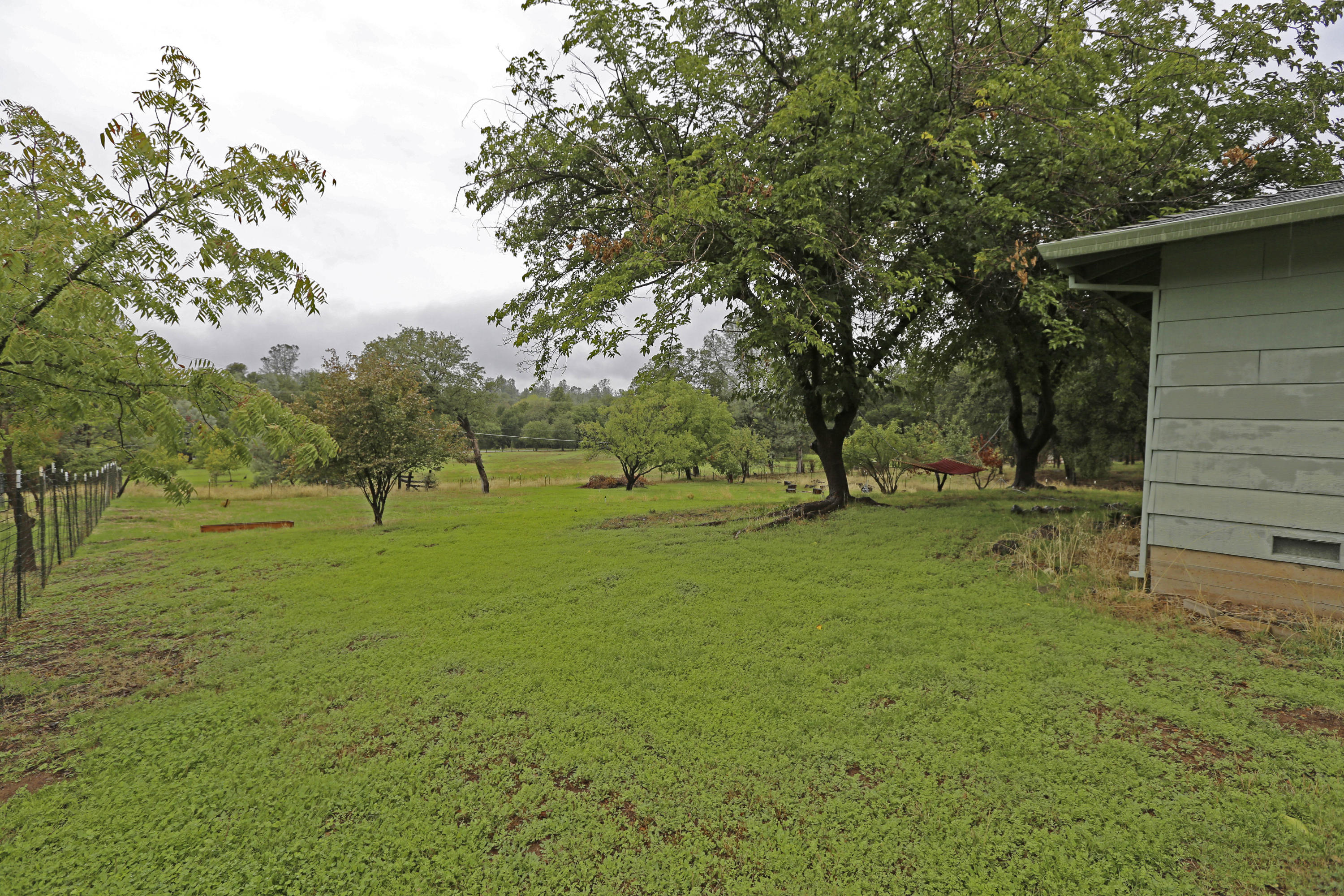 21212 Old Alturas Road Redding, CA 96003 - Photo 25 of 25 View Towards Back of Property
