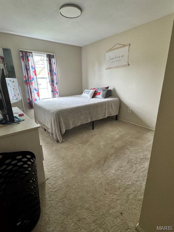 701 South Ridge Avenue Steeleville, IL 62288 - Photo 9 of 14 Gallery Image 9
