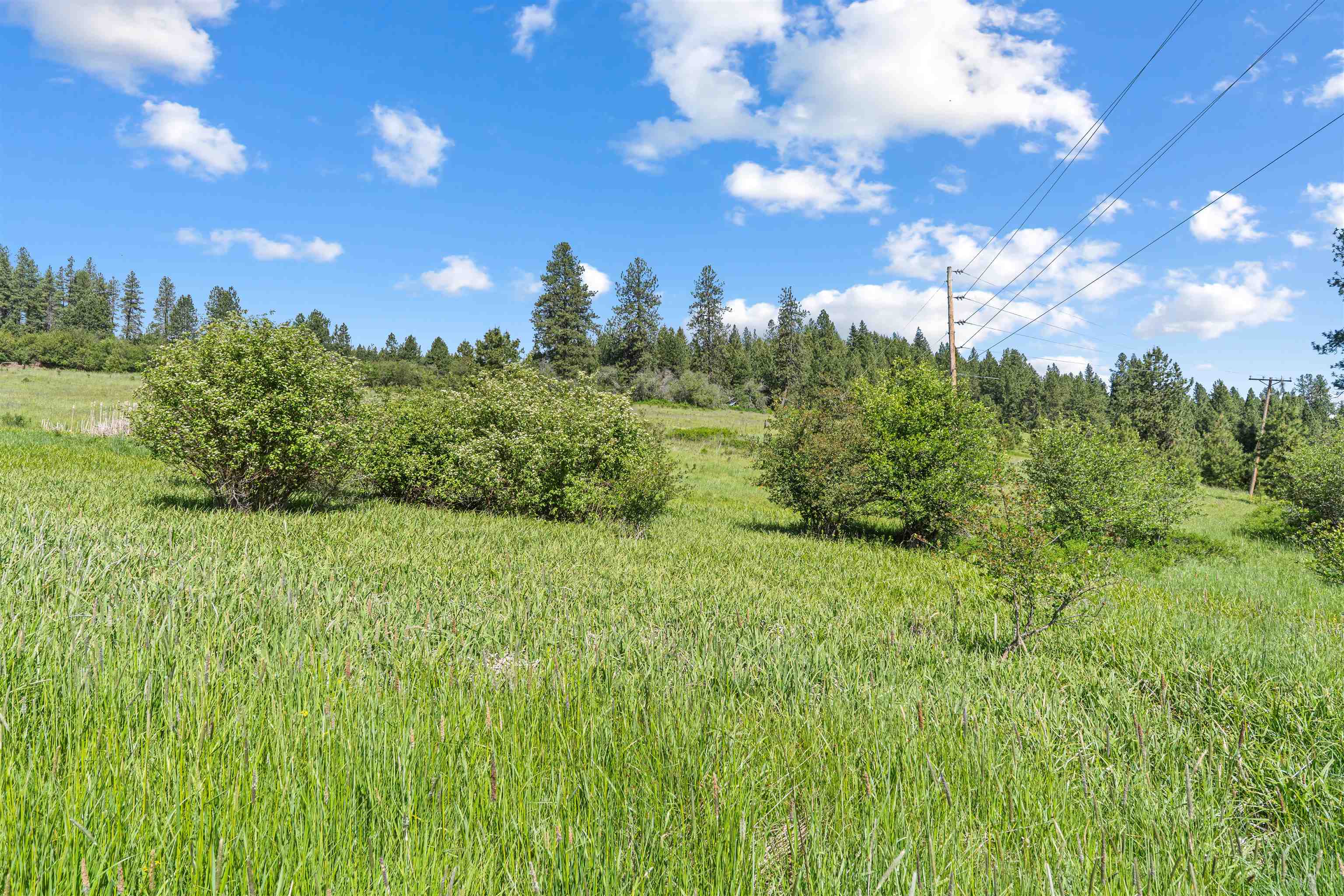 18591 Westside Calispel Road Cusick, WA 99119 - Photo 30 of 33