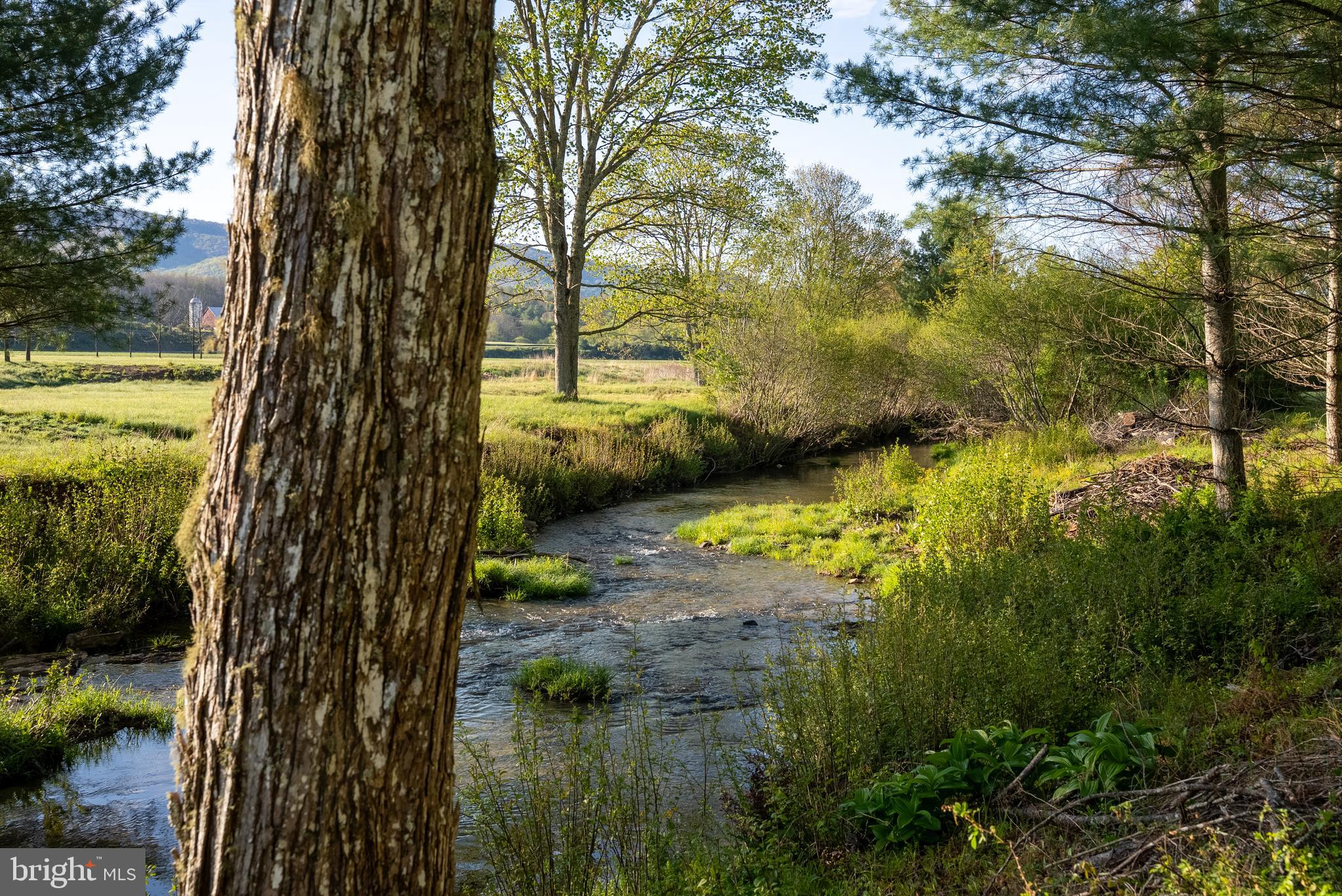 199 Green Bank Road Arbovale, WV 24915 - Photo 80 of 113