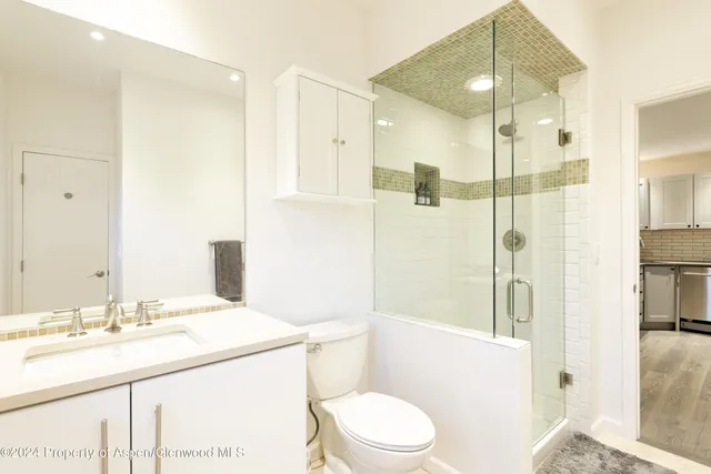 a bathroom with a sink a toilet and shower