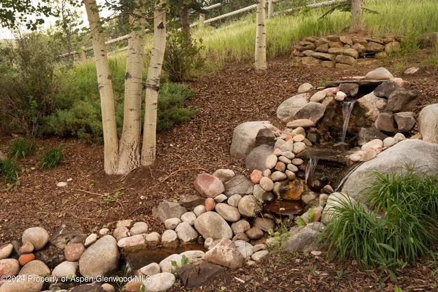 a view of a bunch of trees