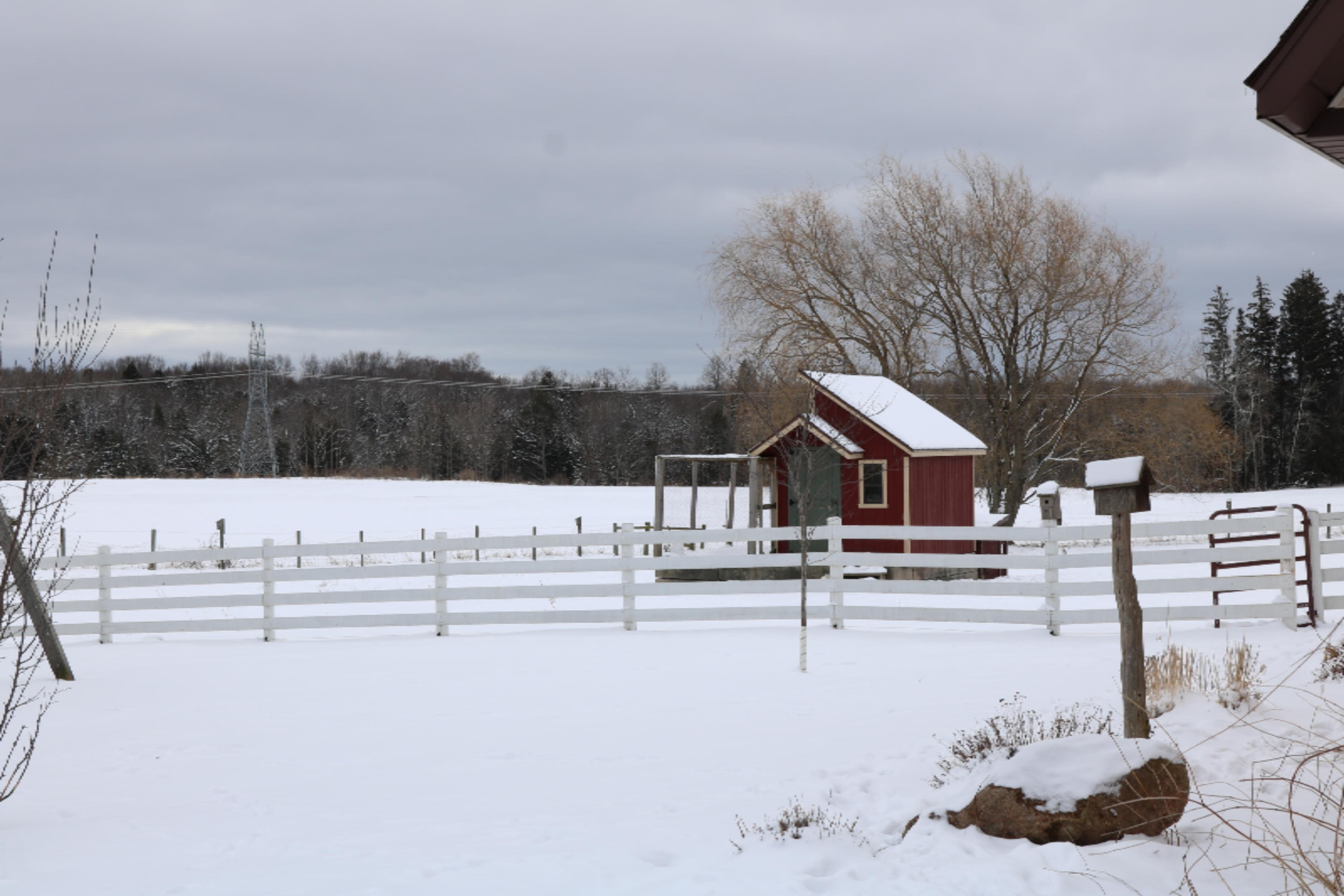 8319 Kerry Road Manistee, MI 49660 - Photo 26 of 42 IMG_2022