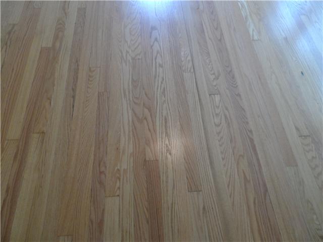310 Golfview Lane Springfield, TN 37172 - Photo 8 of 12 Rich hardwood flooring throughout the home.