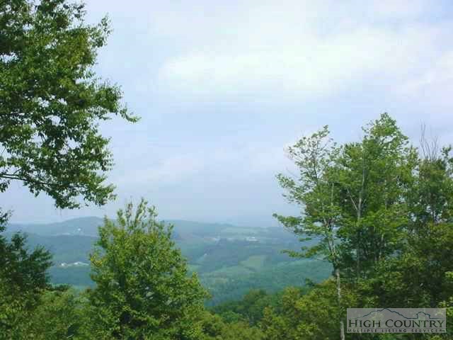 Lot 29 Oak Ridge Estates Boone, NC 28607 - Photo 1 of 1 Gallery Image 1