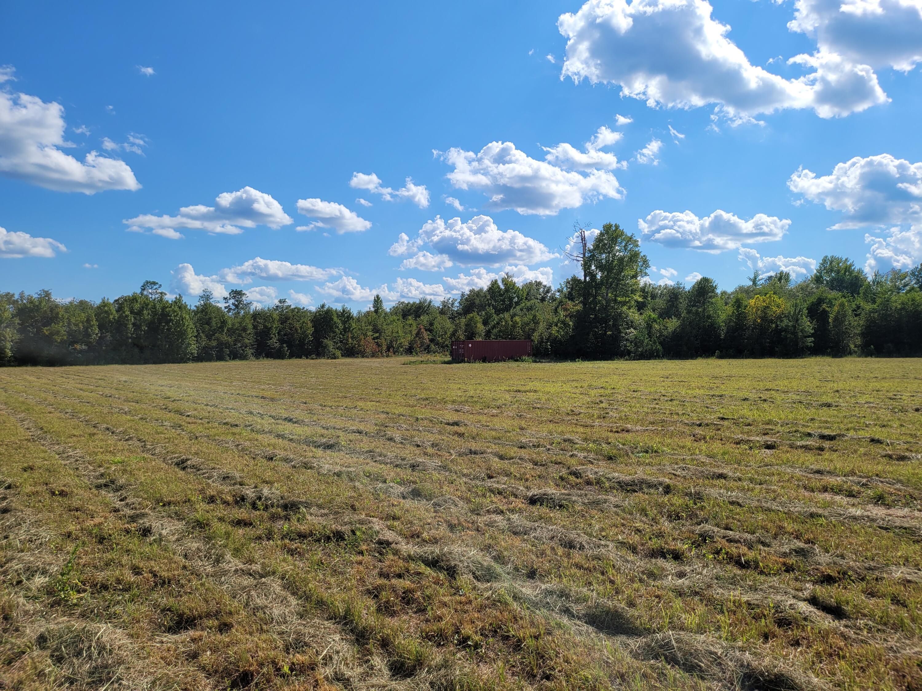 0 Tinker Creek Road Williston, SC 29853 - Photo 10 of 20