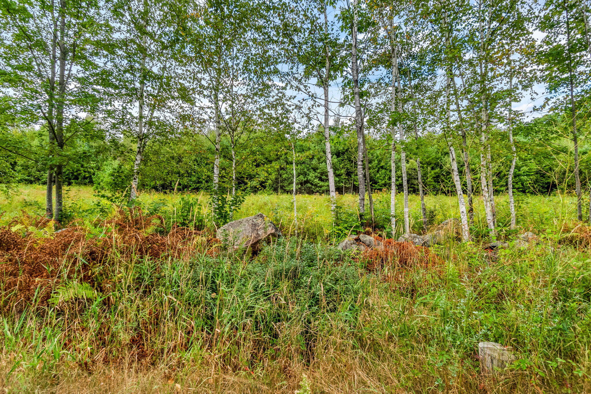 58-1 North Road Leeds, ME 04263 - Photo 13 of 15 13-web-or-mls-58-n-rd