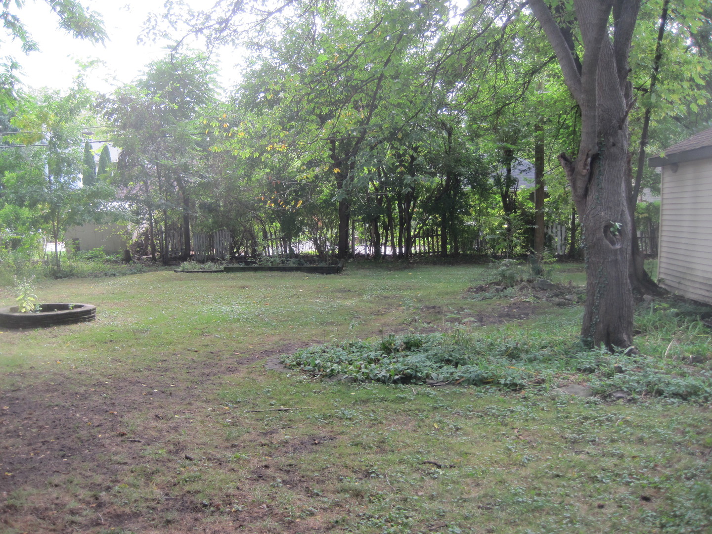 297 Olmsted Road Riverside, IL 60546 - Photo 14 of 15 a view of a trees in a yard