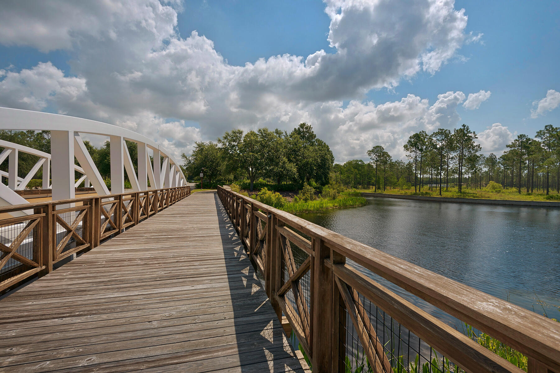 7 Cambium Ct Inlet Beach Inlet Beach, FL 32461 - Photo 49 of 50 a view of wooden staircase with a lake view
