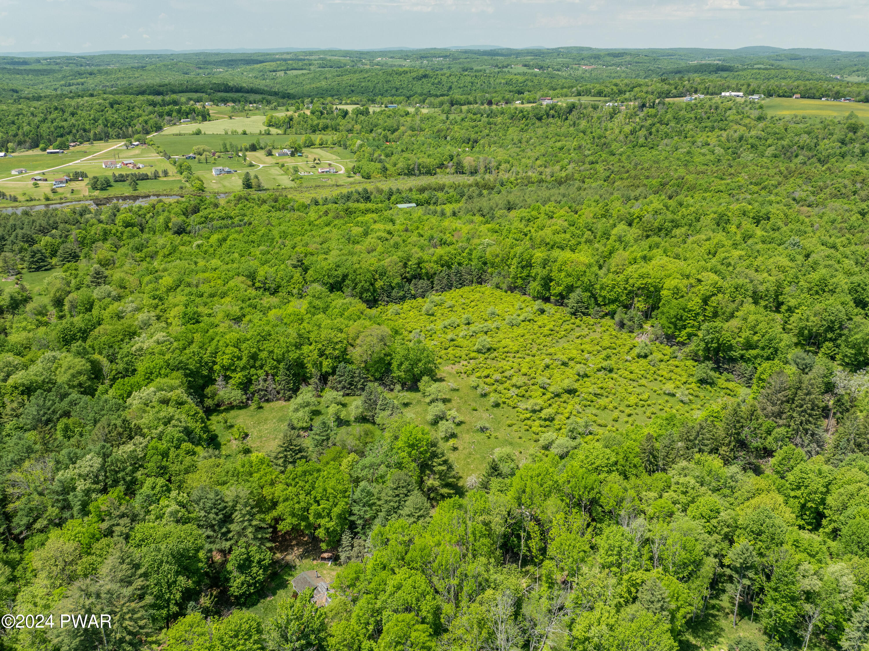 241 Mohn Road Beach Lake, PA 18405 - Photo 40 of 43 Birds Eye