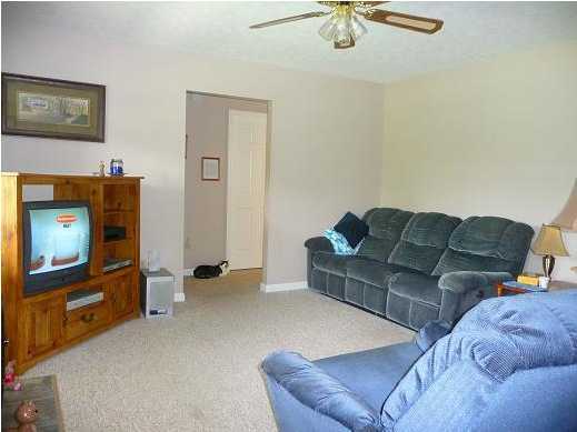 1061 Pin Hook Road Spring City, TN 37381 - Photo 5 of 11 Additional Photo