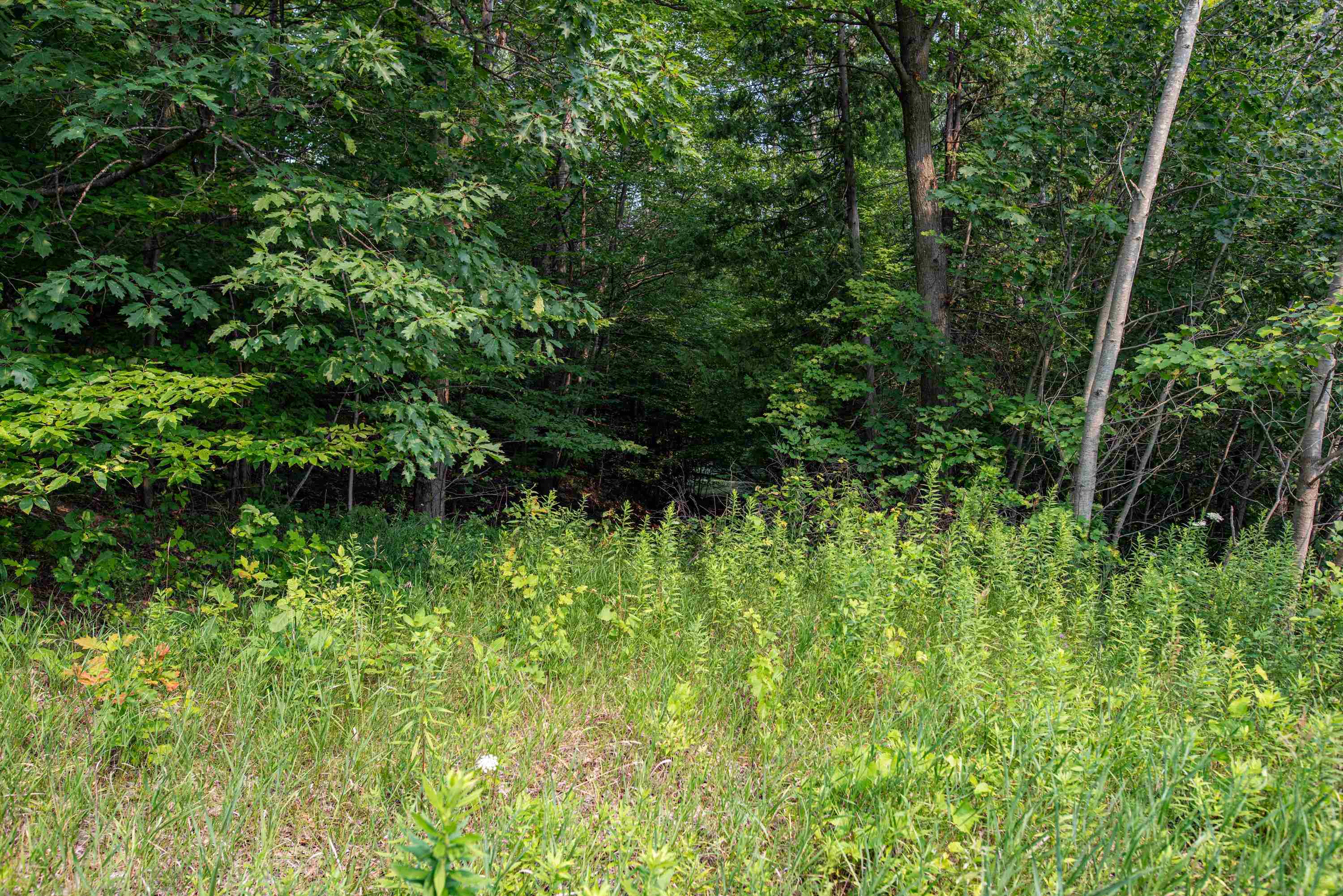 0 East Grandview Road Traverse City, MI 49684 - Photo 2 of 24