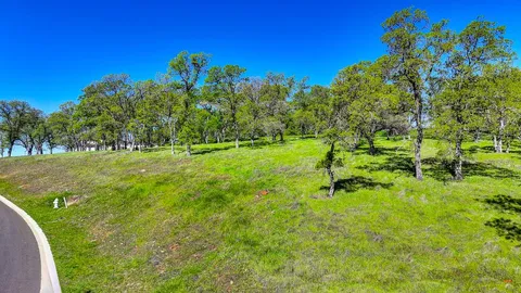 a view of a garden with a tree