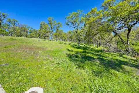 a view of a grassy area with an trees