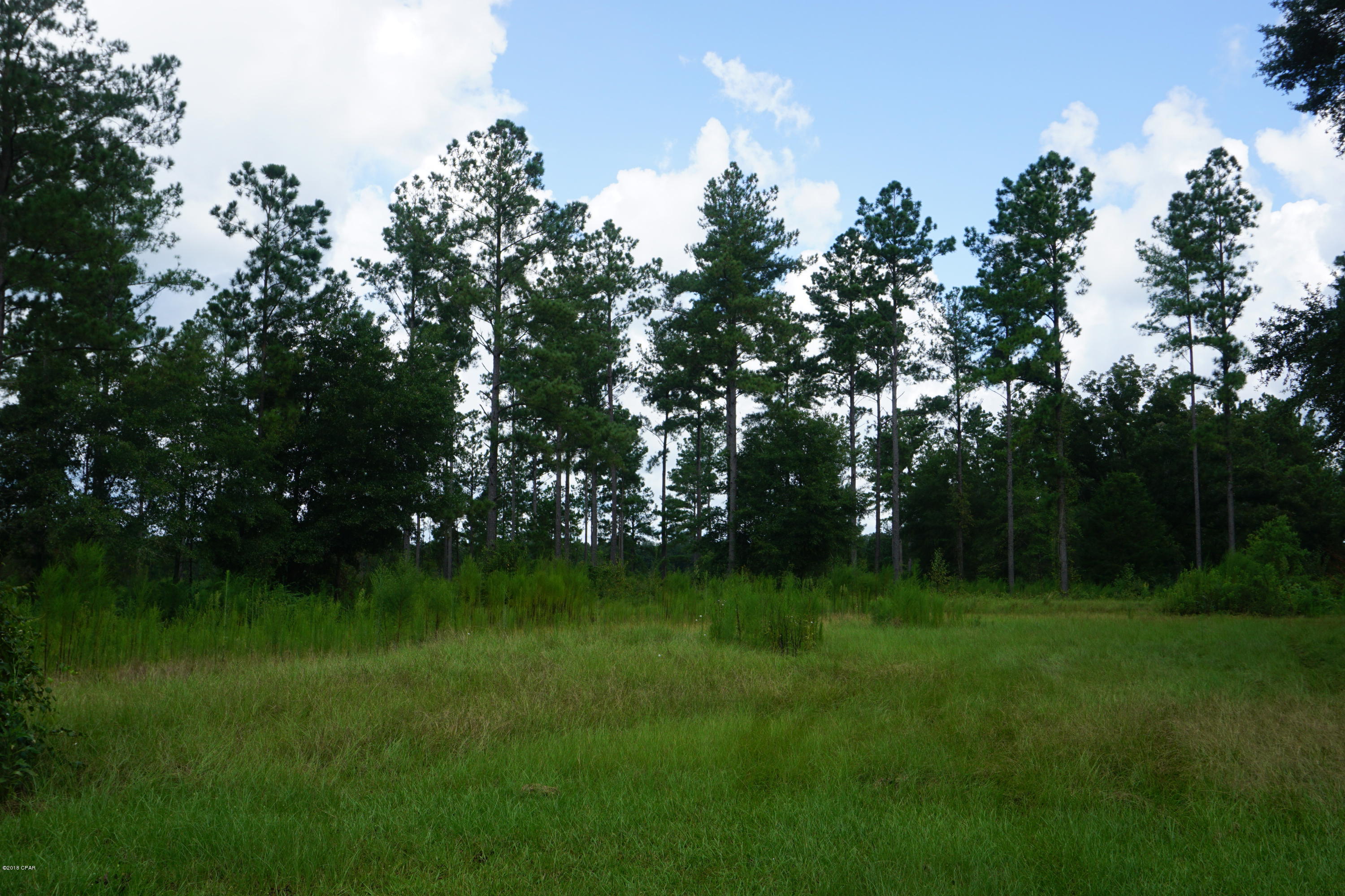 594 Tri County Road Graceville, FL 32440 - Photo 45 of 59