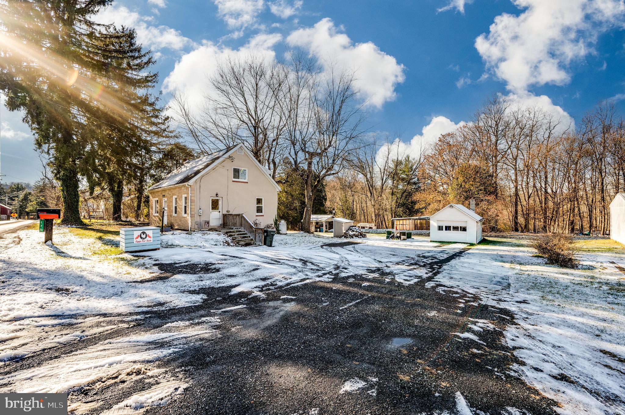 175 Forgedale Road Fleetwood, PA 19522 - Photo 34 of 42 a view of a yard with a large tree