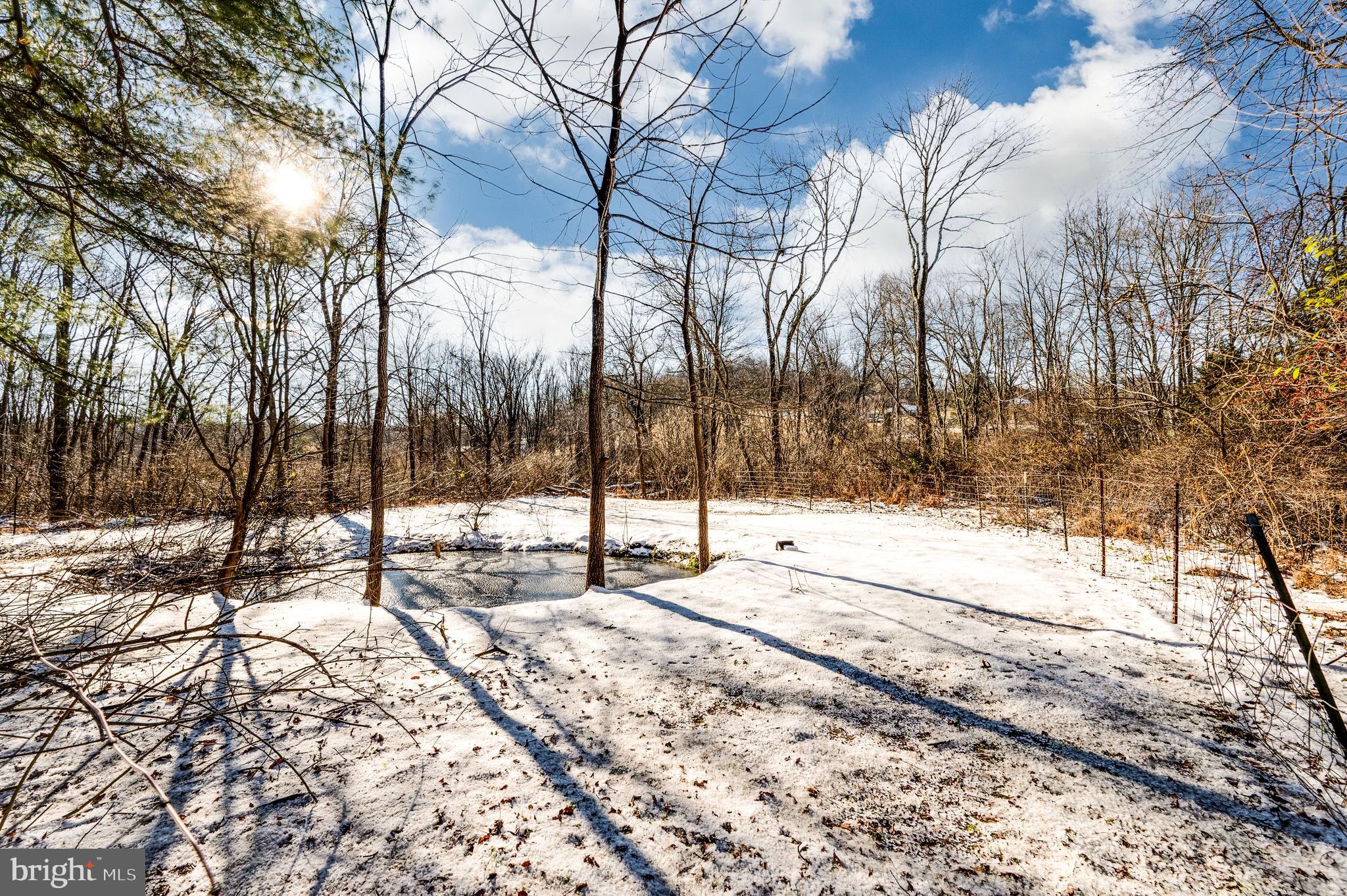 175 Forgedale Road Fleetwood, PA 19522 - Photo 40 of 42 a view of tall trees with wooden fence