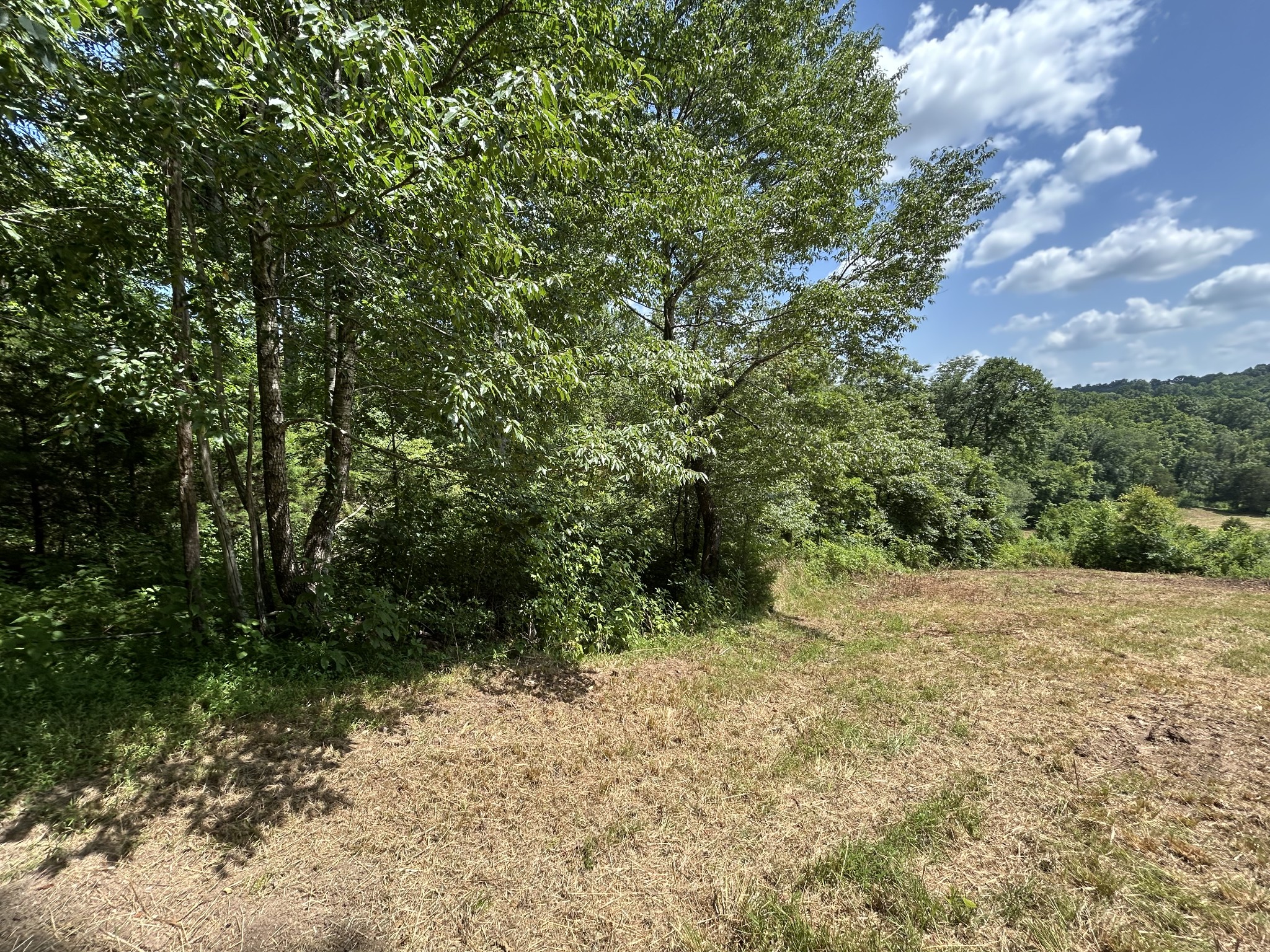 1 New Hope Cemetery Road Pulaski, TN 38478 - Photo 18 of 21