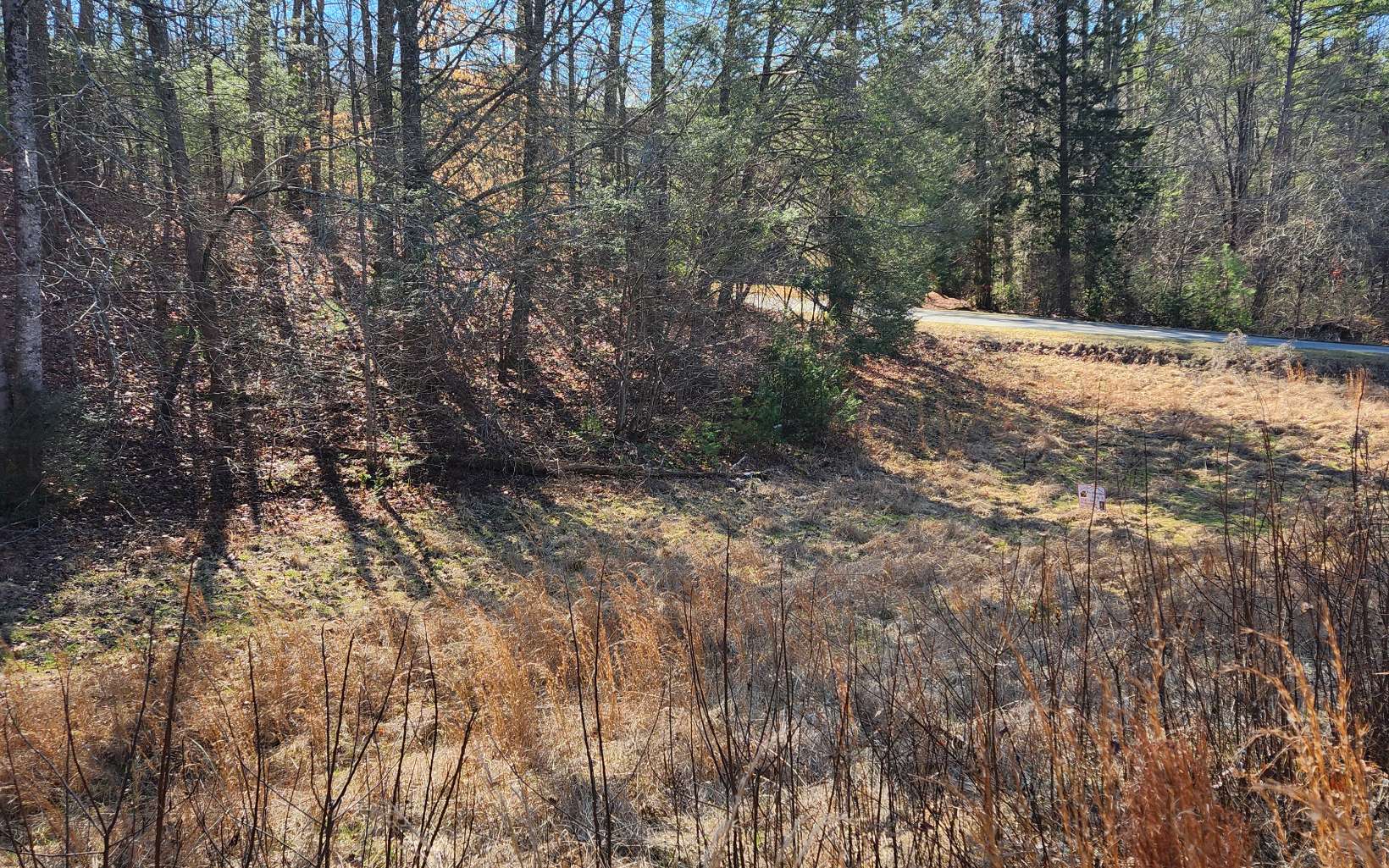 Lot 5 Dry Branch Blue Ridge, GA 30513 - Photo 20 of 21 Additional View