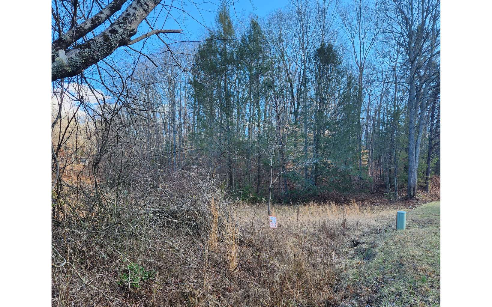Lot 5 Dry Branch Blue Ridge, GA 30513 - Photo 4 of 21 Additional View