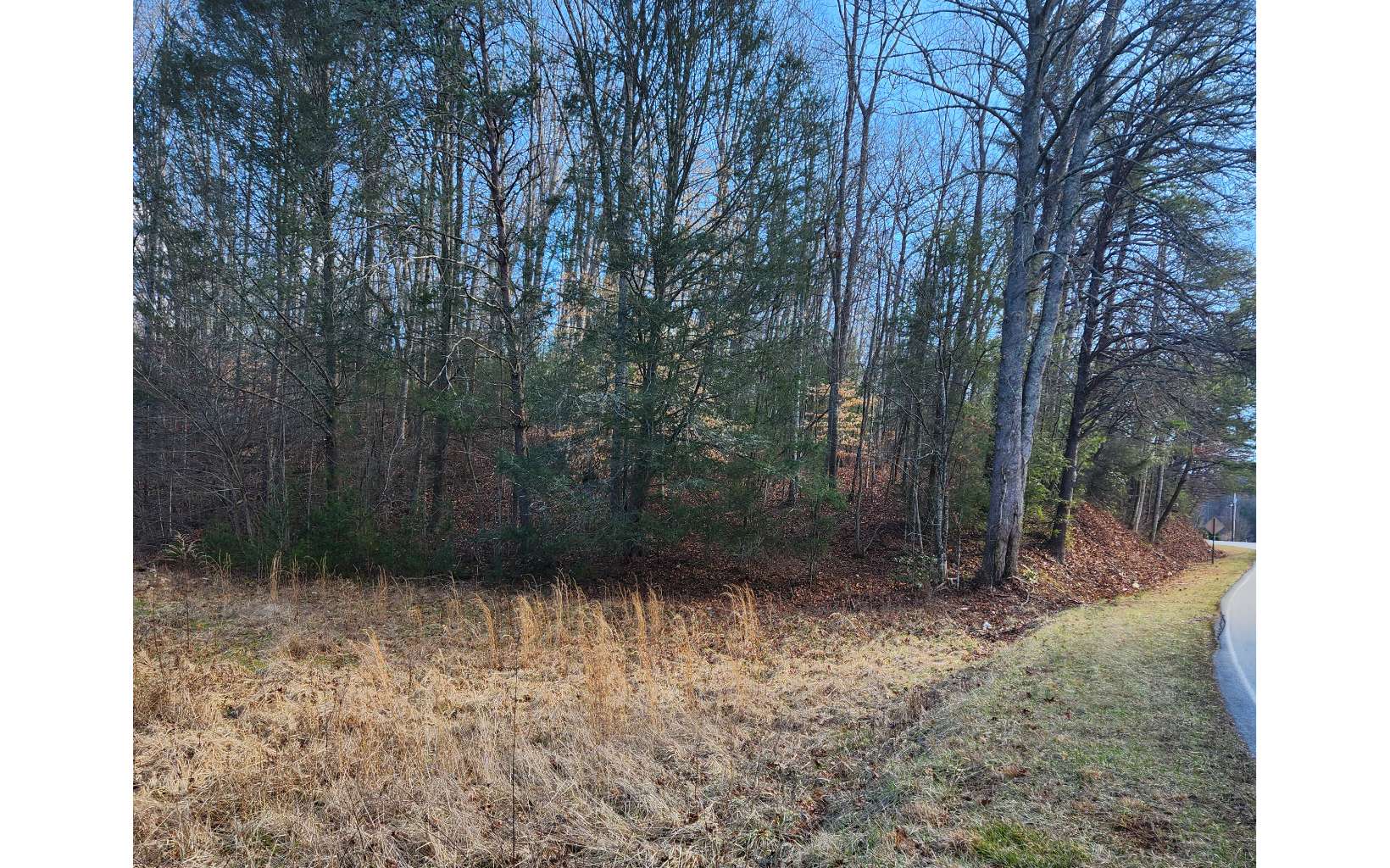 Lot 5 Dry Branch Blue Ridge, GA 30513 - Photo 5 of 21 Additional View