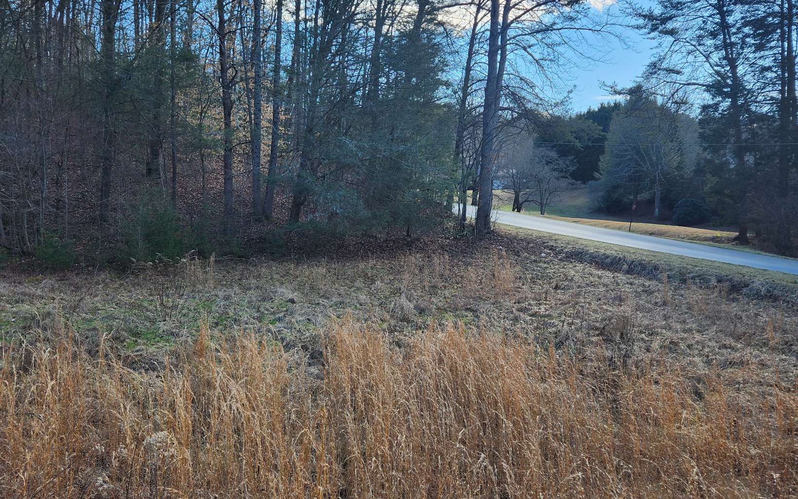 Lot 5 Dry Branch Blue Ridge, GA 30513 - Photo 6 of 21 Additional View