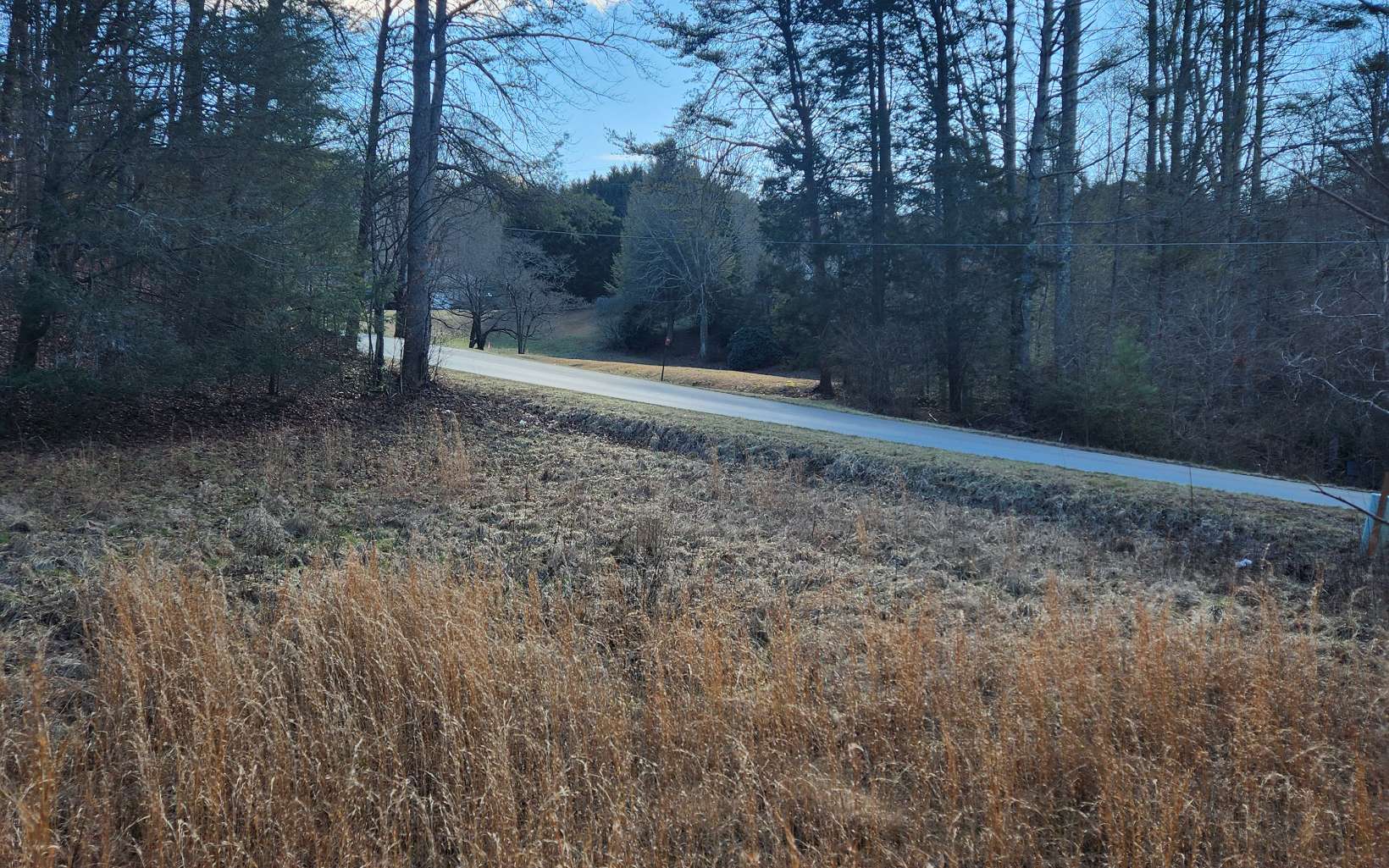 Lot 5 Dry Branch Blue Ridge, GA 30513 - Photo 7 of 21 Additional View