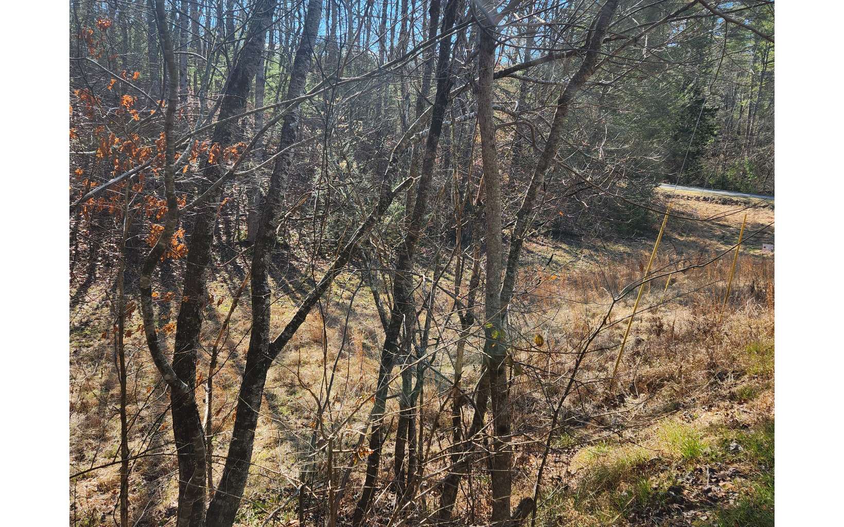 Lot 5 Dry Branch Blue Ridge, GA 30513 - Photo 10 of 21 Additional View