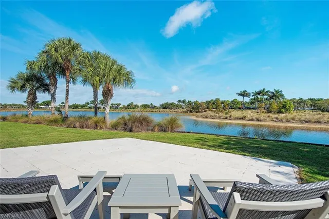 a view of a lake with a yard and a palm tree