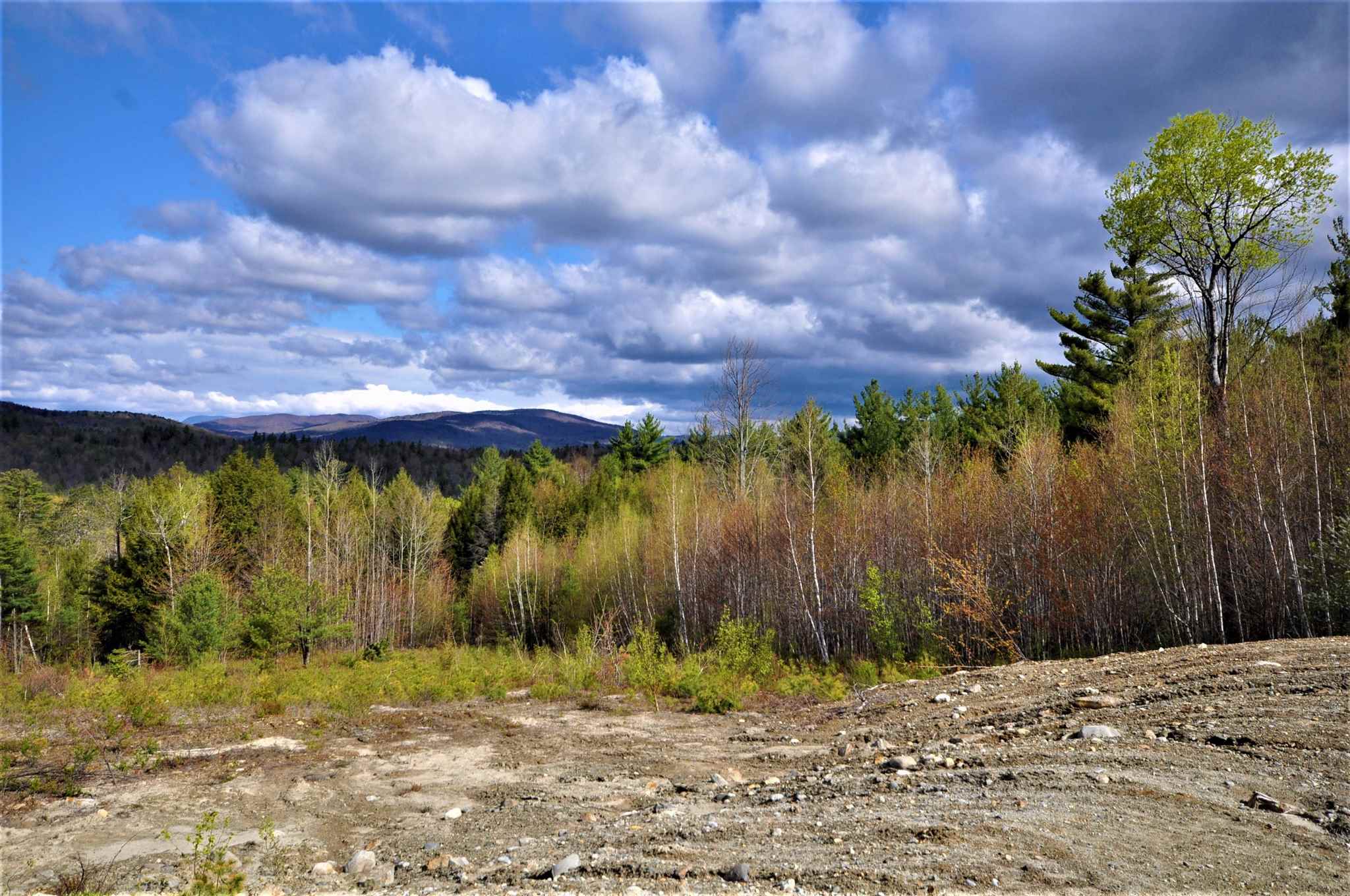 Lot 1 Valley View Road Hebron, NH 03241 - Photo 14 of 16