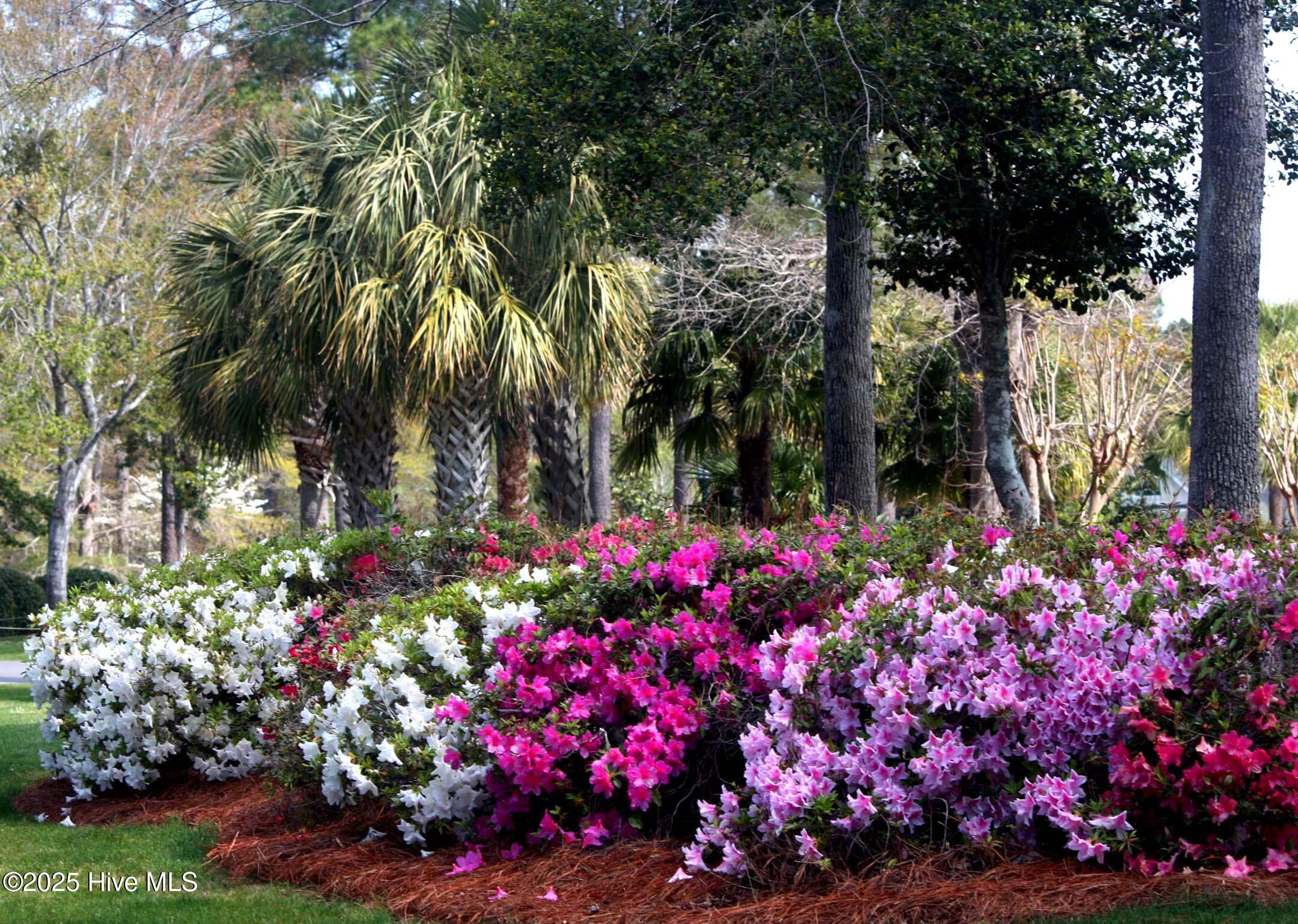 6452 Kirkwall Point Southwest Ocean Isle Beach, NC 28469 - Photo 17 of 20 Unmatched Scenic Beauty at Ocean Ridge
