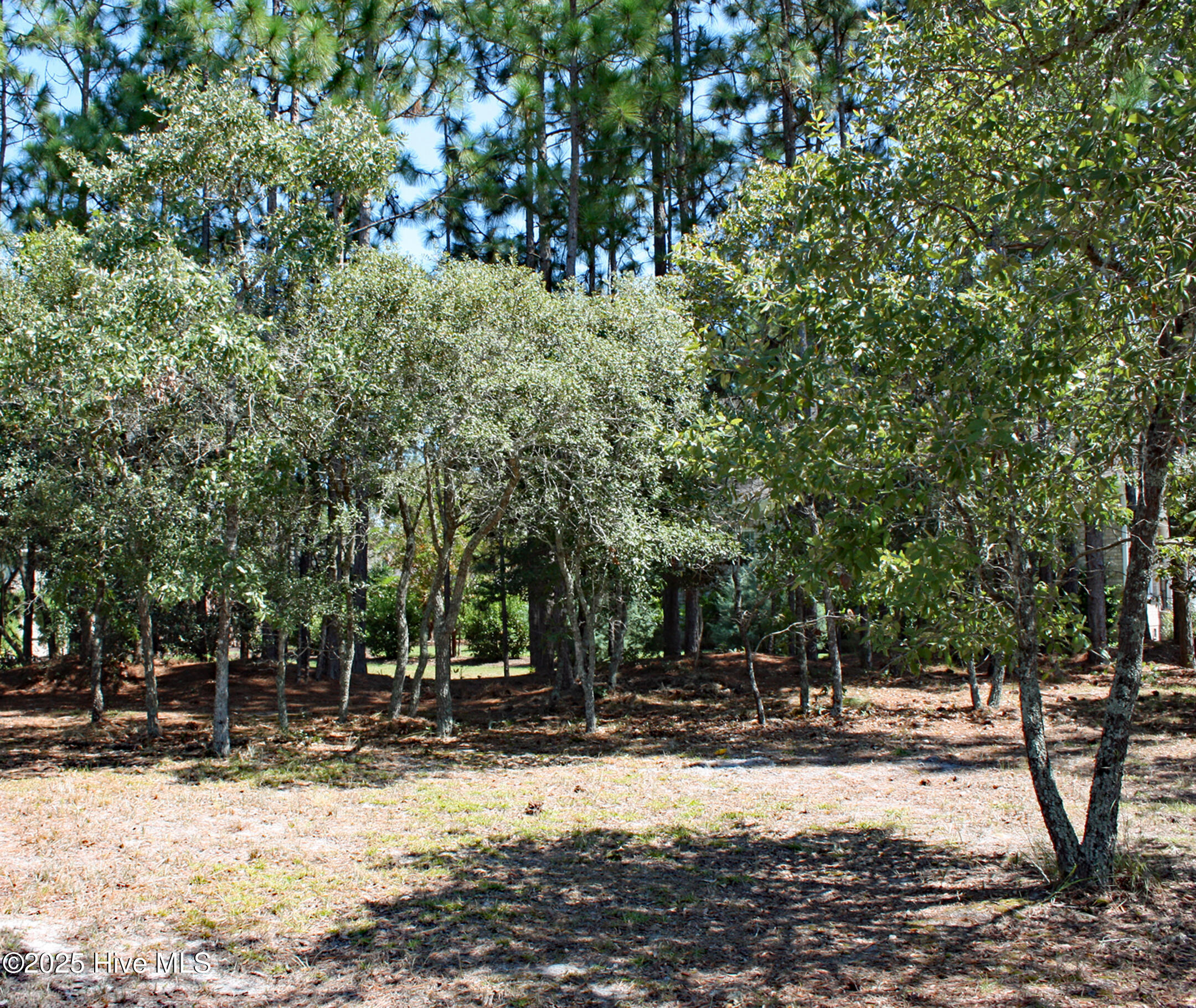 6452 Kirkwall Point Southwest Ocean Isle Beach, NC 28469 - Photo 2 of 20 Corner Homesite on Kirkwall