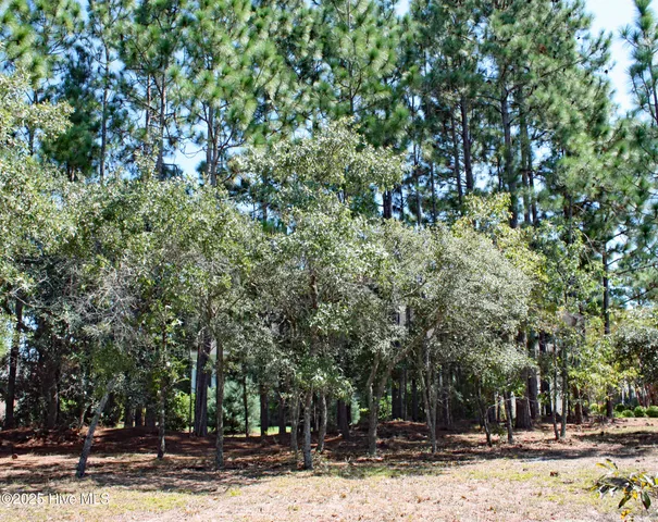 $59,900 | 6452 Kirkwall Point Southwest, Ocean Isle Beach, NC 28469