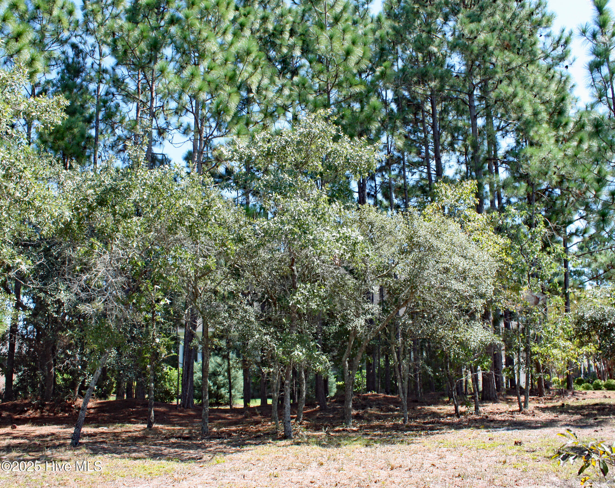 6452 Kirkwall Point Southwest Ocean Isle Beach, NC 28469 - Photo 5 of 20 Wooded Homesite in Stirling Hills